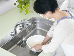 島根でイタチ駆除を成功させるための完全ガイド：安全・確実な対策と信頼の業者選び